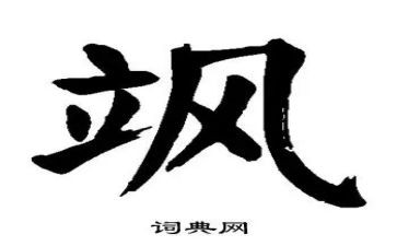 我也很飒作文参考8篇