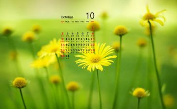 10月1物业工作总结6篇