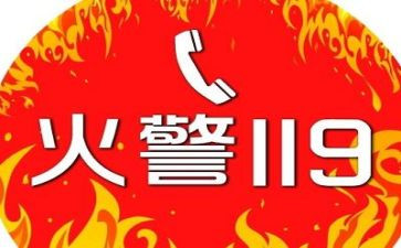 119述职报告推荐8篇