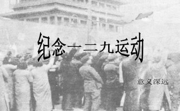 129活动的总结最新5篇
