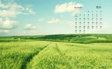 12月的月总结6篇