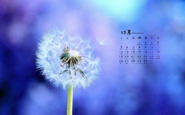 12月文员工作总结6篇