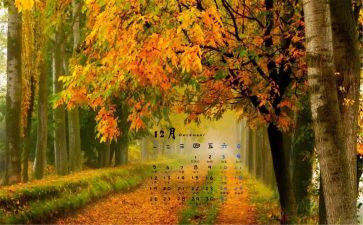 12月的月总结最新6篇