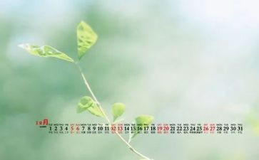 学校12月活动总结7篇