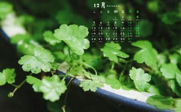 小班12月份月工作计划5篇