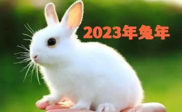 2023年政治心得体会优秀8篇