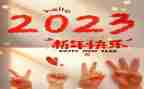中考作文2023年满分作文通用5篇