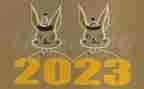 2023年度英语工作总结优质5篇