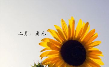 销售2月工作总结范文6篇