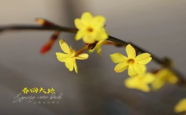 幼儿园2月份工作计划5篇