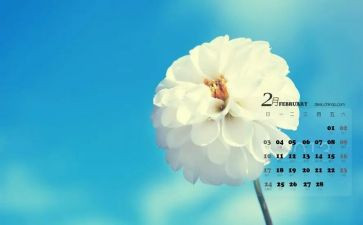 2月份活动方案5篇