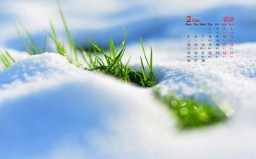 小学2月活动总结8篇