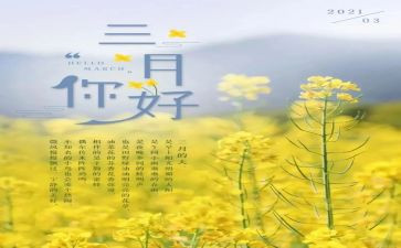 3月工作总结6篇