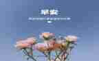 2024年社区3月活动方案5篇