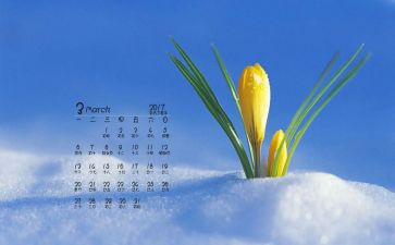 幼儿园中班3月份工作计划7篇