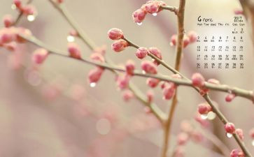 4月15日安全活动总结5篇