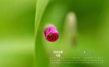 4月份中班工作总结5篇