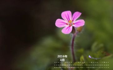 幼儿园4月工作总结6篇