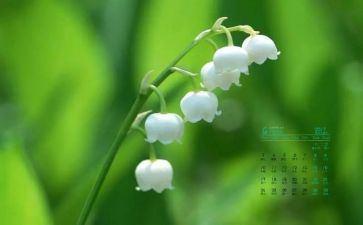 4月活动方案参考6篇