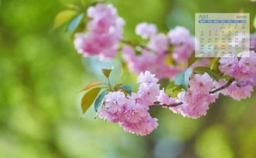 4月底工作总结8篇
