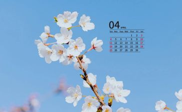 幼儿园中班4月份工作计划8篇
