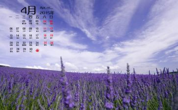 4月活动方案7篇