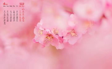 幼儿小班4月份工作总结8篇