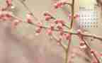 4月15日安全活动总结5篇