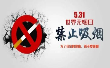 531活动总结优质8篇