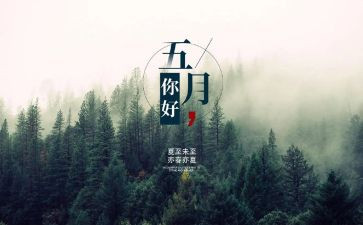 5月20活动总结推荐6篇