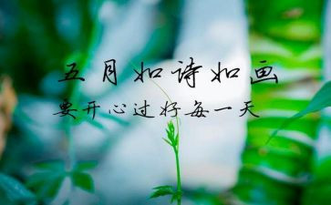 5月25活动策划5篇