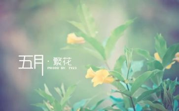 5月新工作总结最新8篇