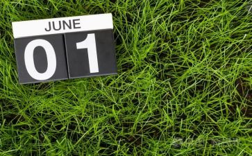 6月大活动总结精选5篇