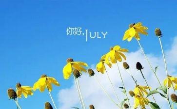6月大活动总结推荐6篇