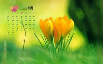 2024年6月安全生产工作总结8篇