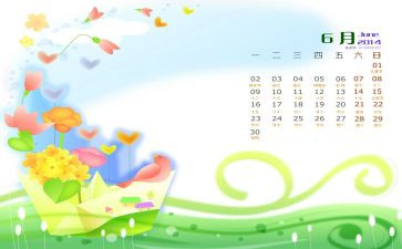 6月大活动总结最新5篇