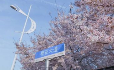 985大学校园活动方案推荐5篇
