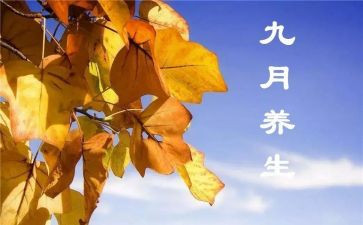 9月教育心得体会5篇