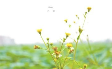 教师9月份工作总结范文7篇