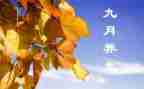 9月教育心得体会5篇