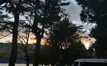 彼岸花读后感600字8篇