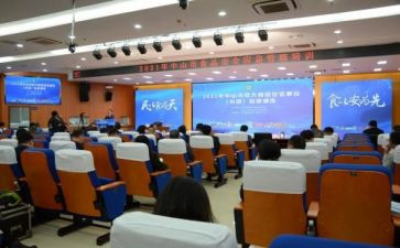 平安办的工作总结最新6篇
