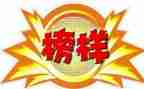 读榜样5心得体会参考8篇
