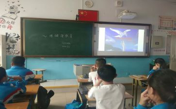 爱护环境班会课教案6篇