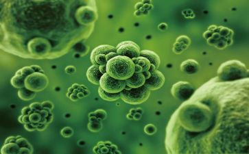 初中生物教学工作总结7篇