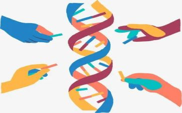 初二生物教学总结8篇