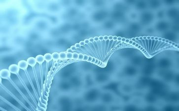 生物教师工作总结模板8篇
