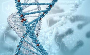 生物组工作总结优质6篇