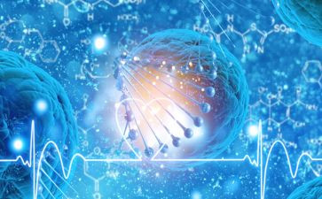 生物组备课组工作总结7篇