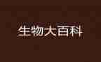 生物初二下学期工作总结6篇
